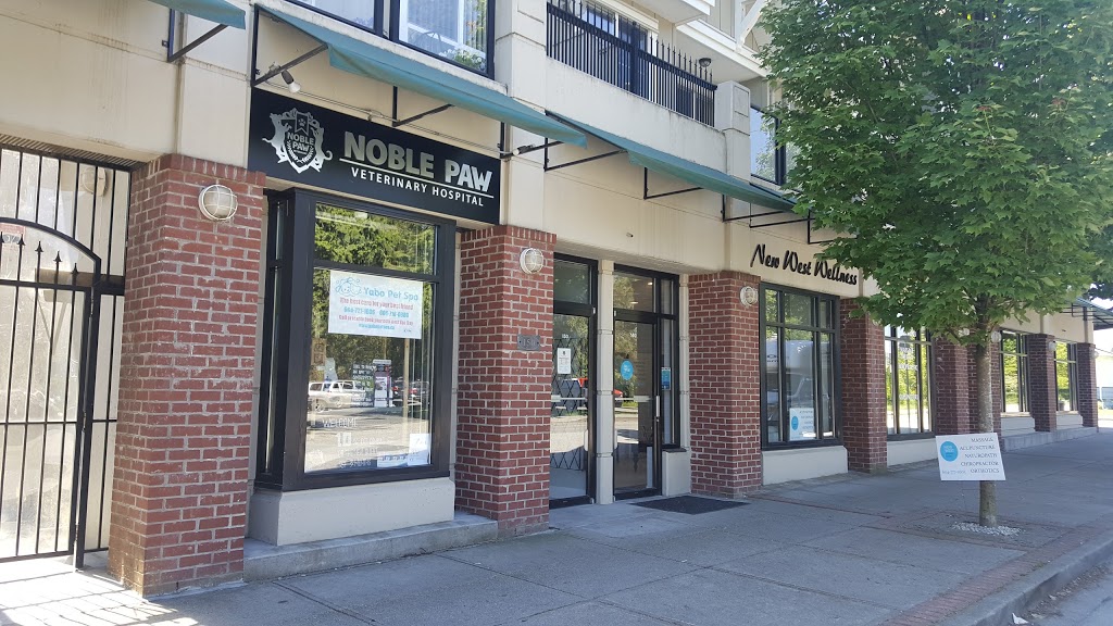 Noble Paw Veterinary Hospital | 815 1st St #150, New Westminster, BC V3L 2H7, Canada | Phone: (604) 522-9716