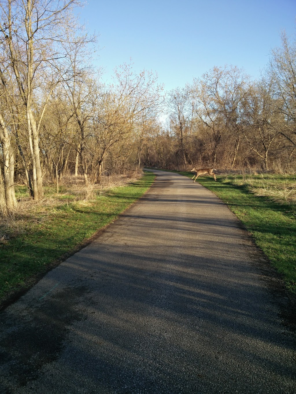 Humberwood Park | 850 Humberwood Blvd, Etobicoke, ON M9W 7C1, Canada | Phone: (416) 392-8206