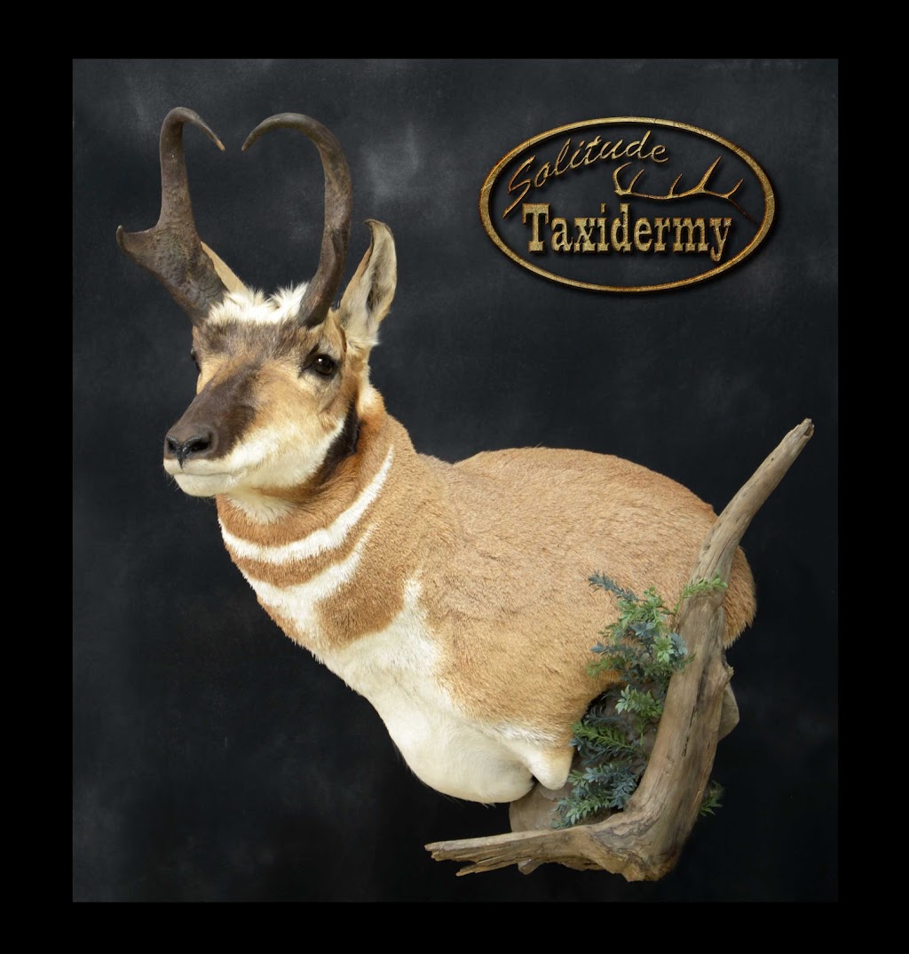 Solitude Taxidermy | 53314 Range Rd 272, Parkland County, AB T7X 3B2, Canada | Phone: (780) 690-6911