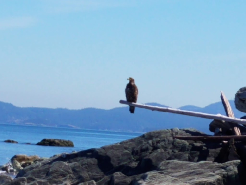 Rocky Point Beach Parking | Oak Harbor, WA 98278, USA