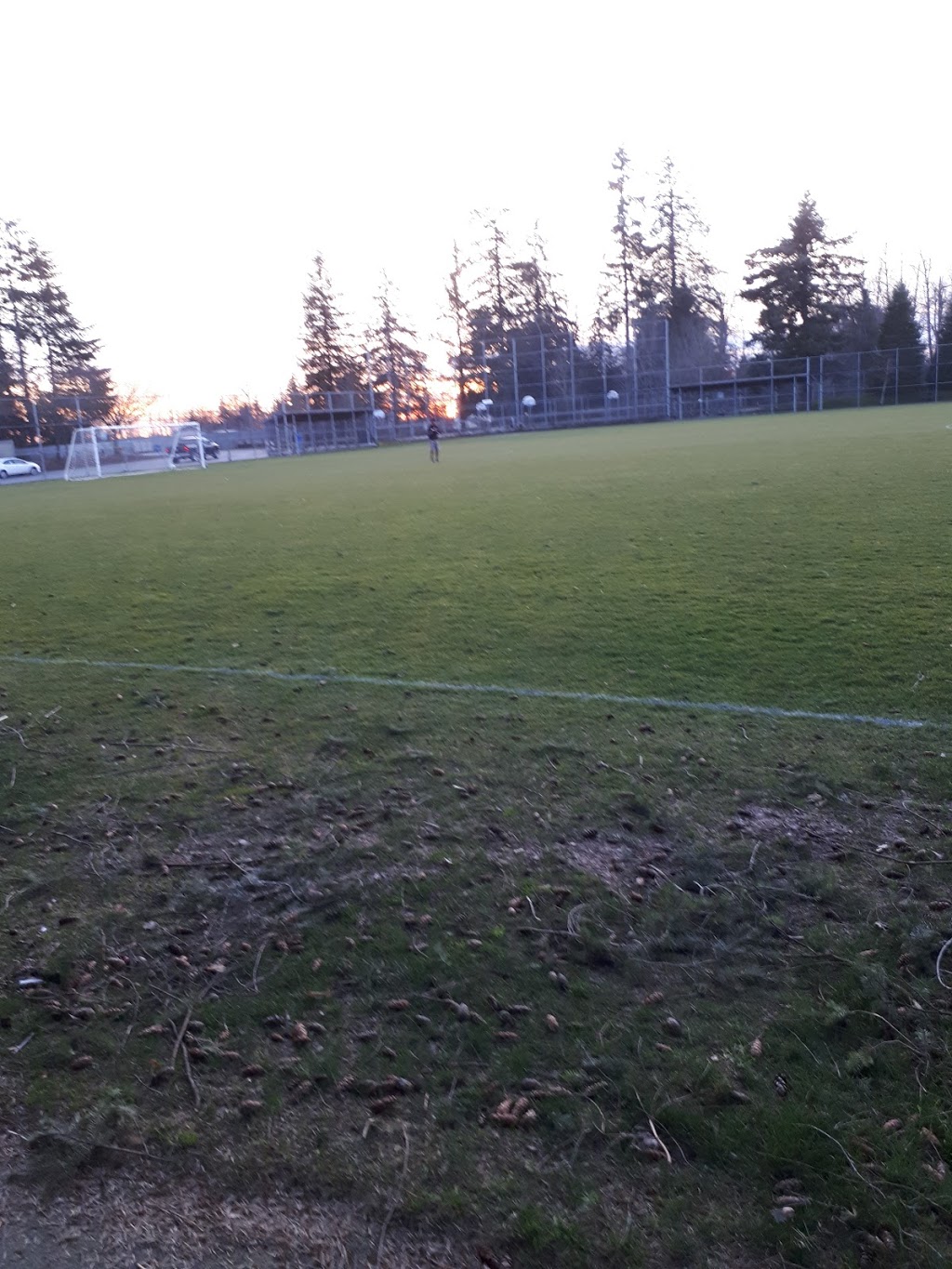 Swensson Park | 27875 Swensson Ave, Abbotsford, BC V4X 1H4, Canada