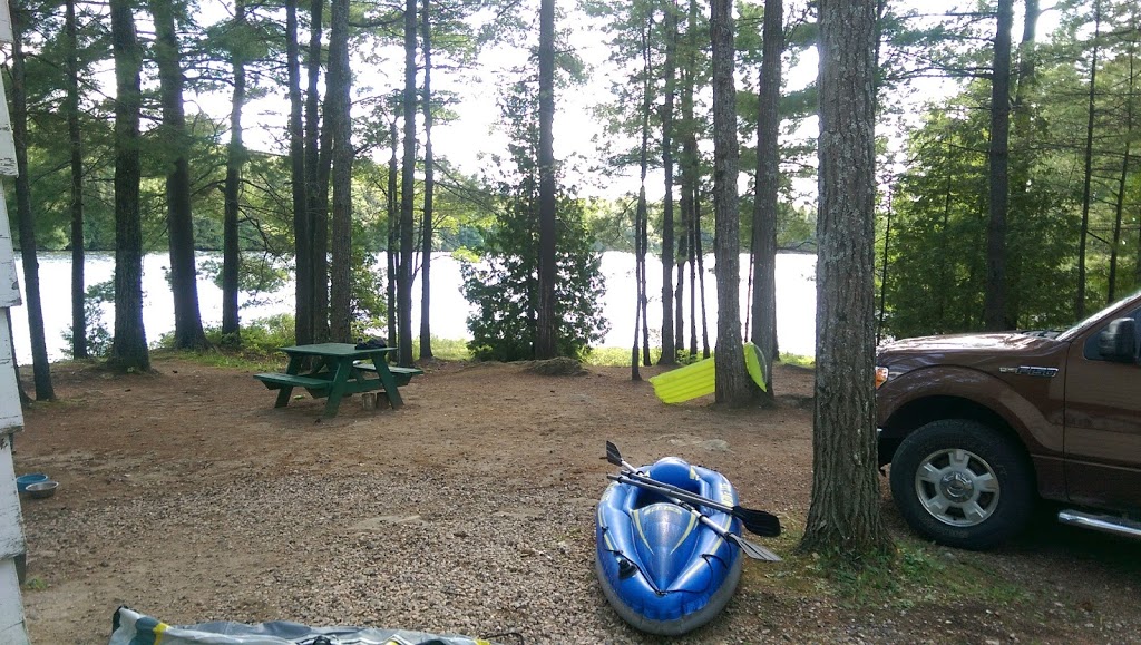 Cuddys Pine Cove | 1509 Gull Lake Ln, North Frontenac, ON K0H 1B0, Canada | Phone: (613) 336-8135