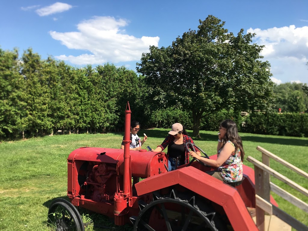 Downeys Farm Market | 13682 Heart Lake Rd, Inglewood, ON L7C 2J5, Canada | Phone: (905) 838-2990