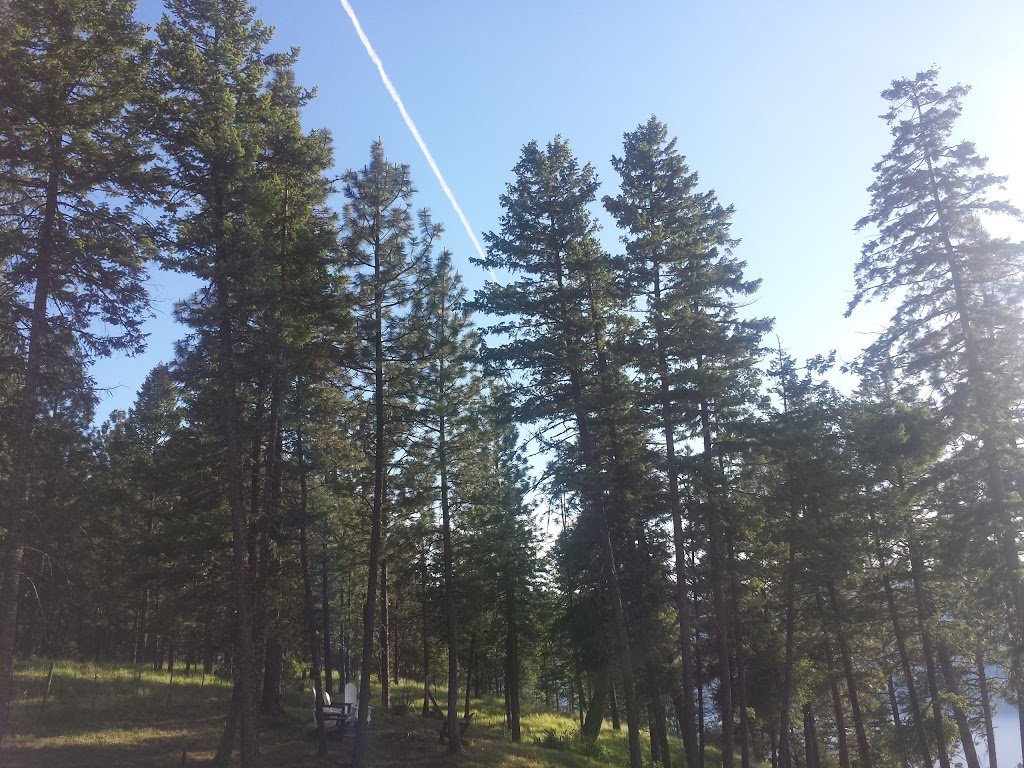 Crooked Tree Guest Suites | 1278 Spiller Rd, Penticton, BC V2A 8T3, Canada | Phone: (250) 490-8022
