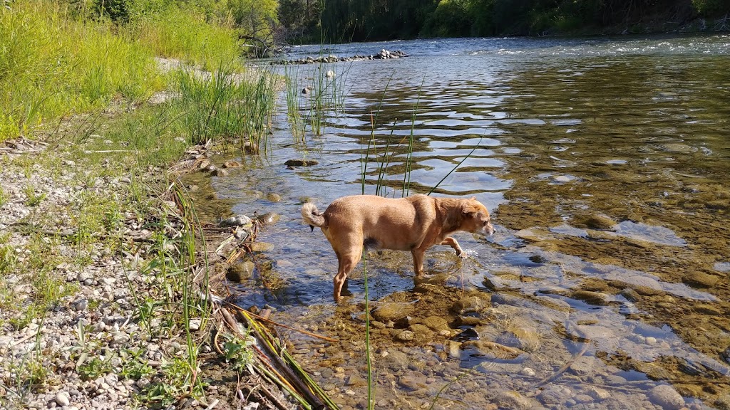 Okanagan Falls Provincial Park | Green Lake Rd, Okanagan Falls, BC V0H 1R0, Canada | Phone: (250) 497-5423