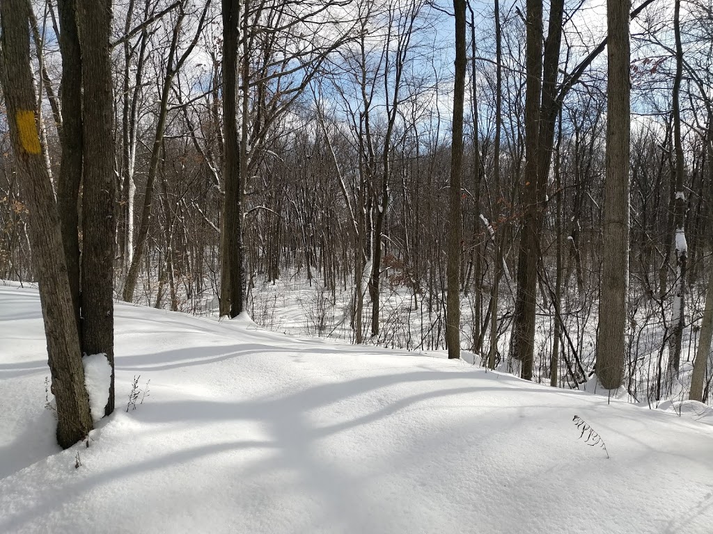 Celebration Forest | 944 Western Counties Road, London, ON N6C 5J1, Canada | Phone: (519) 936-9548