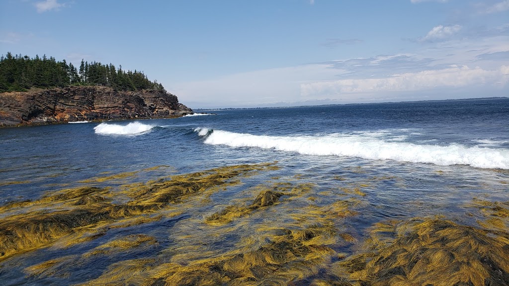 Ovens Natural Park | Riverport, NS B0J 2W0, Canada | Phone: (902) 766-4344