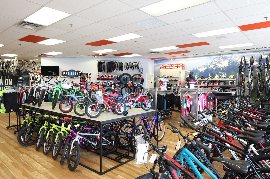 bike shop dundas mississauga