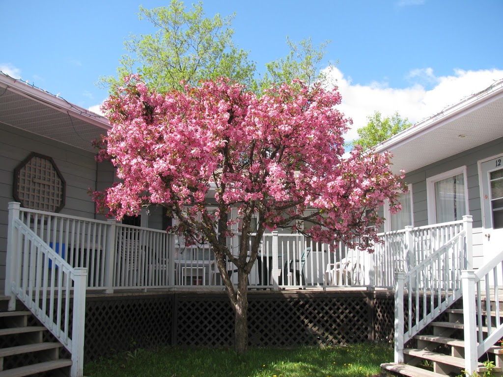 Motel de lOutlet | 82 Rue de Hatley, Magog, QC J1X 3G4, Canada | Phone: (819) 847-2609