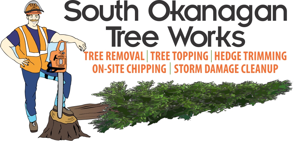 South Okanagan Tree Works | 10147 146 Ave, Osoyoos, BC V0H 1V2, Canada | Phone: (250) 498-9437