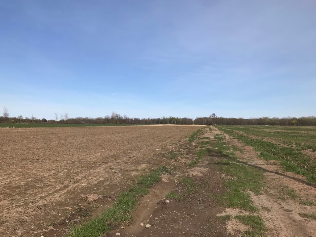 La Ferme du Mihouli | 9 Rang de la Barbotte, Lacolle, QC J0J 1J0, Canada | Phone: (514) 944-5373