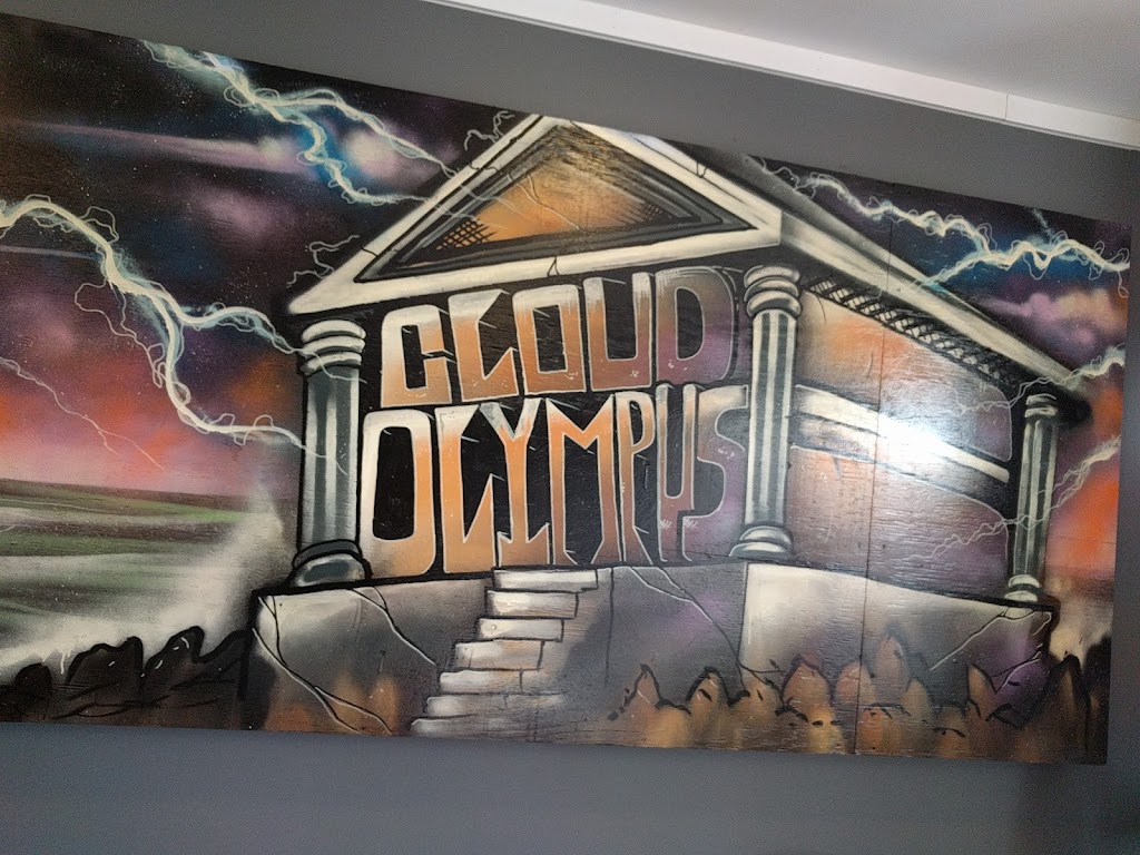 Cloud Olympus | 1025 King St E #105, Cambridge, ON N3H 3P5, Canada | Phone: (519) 588-1610