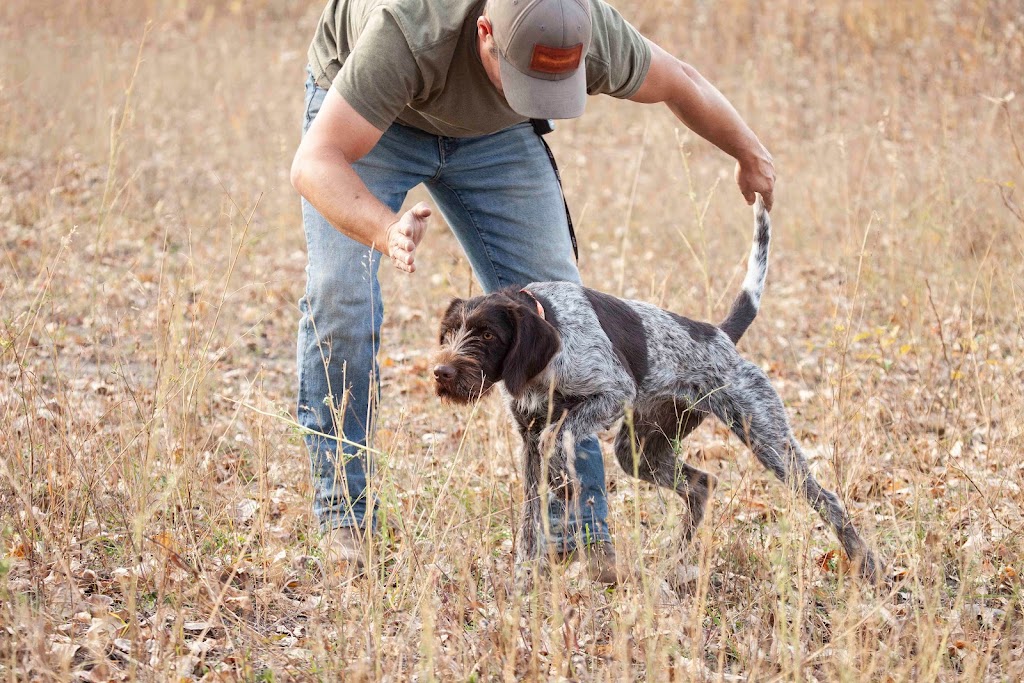 North Country Sporting Dogs | 144260 388th Avenue West, Foothills, AB T1S 3E2, Canada | Phone: (403) 988-3414