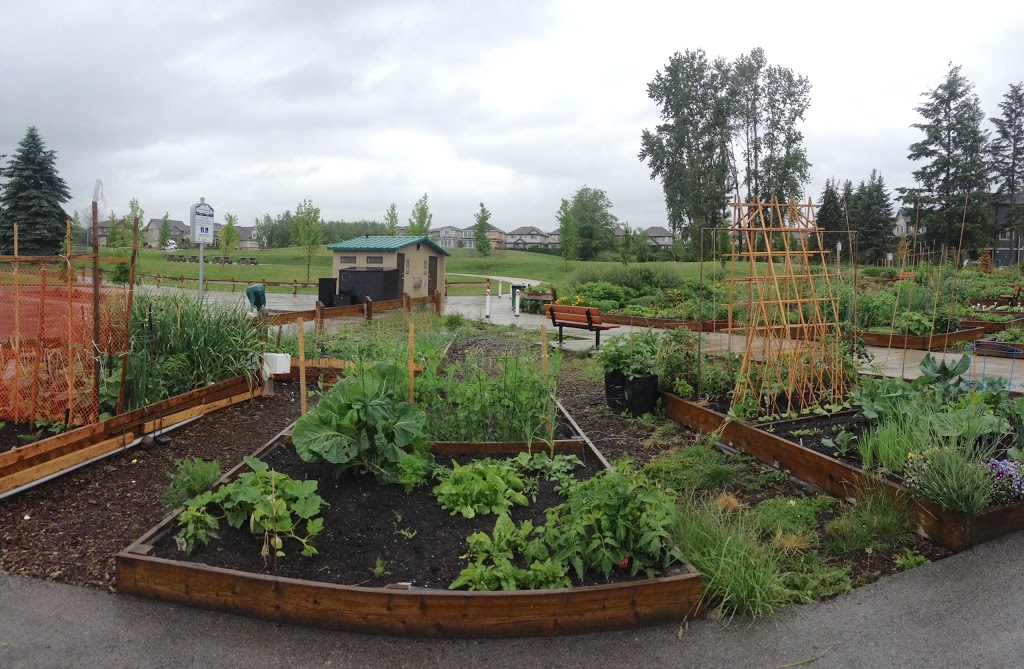 Routley Park | Champaigne Greenway, Langley City, BC V2Y 3H8, Canada