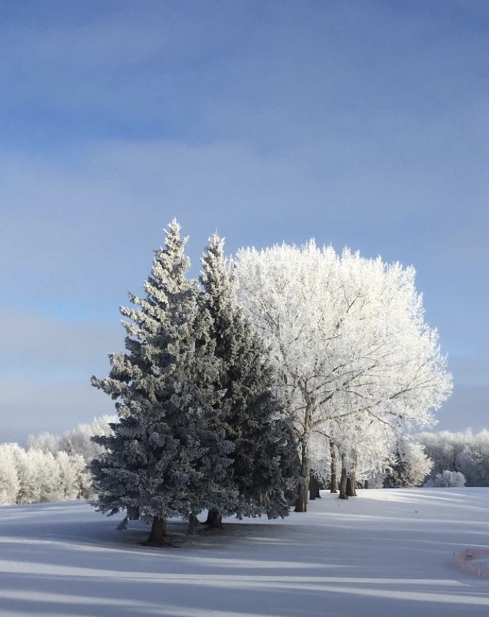 Cooke Municipal Golf Course | 900 22 St E, Prince Albert, SK S6V 1P1, Canada | Phone: (306) 763-2502
