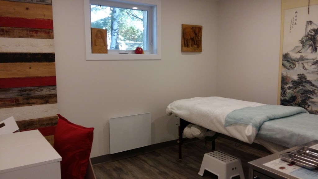 Acupuncture Linda Daoust | 143 Rue Thouin, LÉpiphanie, QC J5X 3H4, Canada | Phone: (450) 938-0607