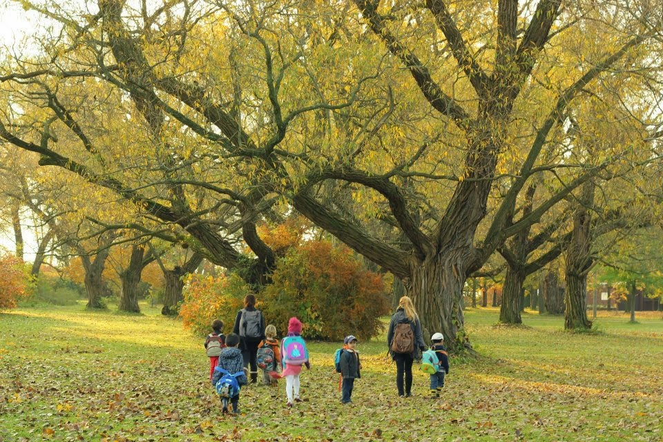 Waterfront Montessori | 18 Wyandot Ave, Toronto, ON M5J 2M9, Canada | Phone: (416) 203-1017