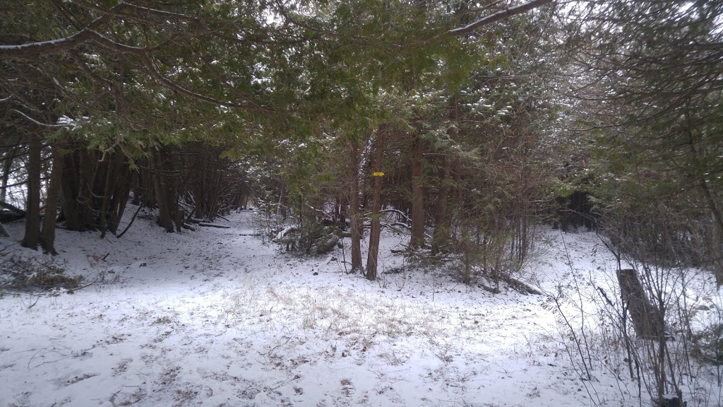 Miller Creek Wildlife Area | 1150 7 Line, Bridgenorth, ON K0L 1H0, Canada | Phone: (705) 745-5791