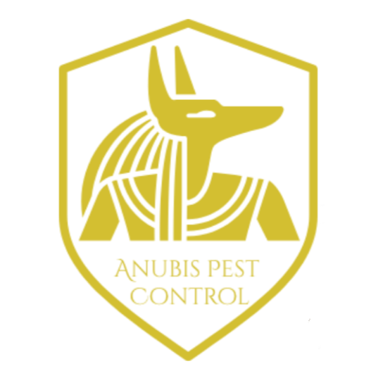Anubis Pest Control | London, ON N6G 2H4, Canada | Phone: (226) 700-4302