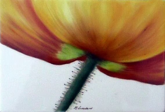 Light and Colour | 812 Burnhamthorpe Rd, Etobicoke, ON M9C 1W4, Canada | Phone: (416) 748-2412