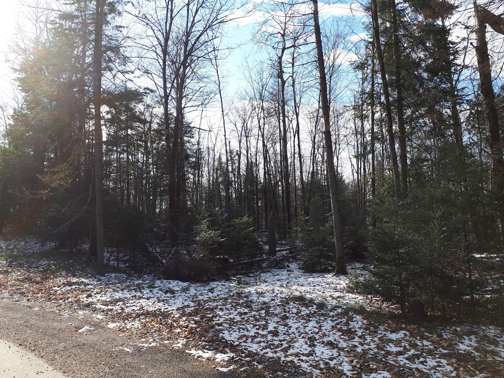 Extermination Des Monts | 668 Chemin des Bouleaux, Saint-Sauveur, QC J0R 1K0, Canada | Phone: (450) 227-0997