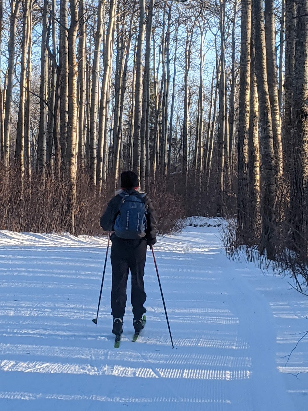 Strathcona Wilderness Centre | 52535 Range Rd 212, Ardrossan, AB T8G 2E9, Canada | Phone: (780) 922-3939