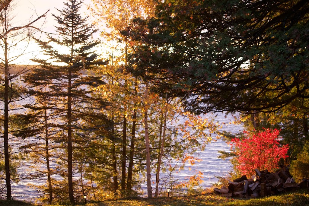 One Acre and a Mule | 205 Rapid Rd, Westmeath, ON K0J 2L0, Canada | Phone: (613) 587-4721
