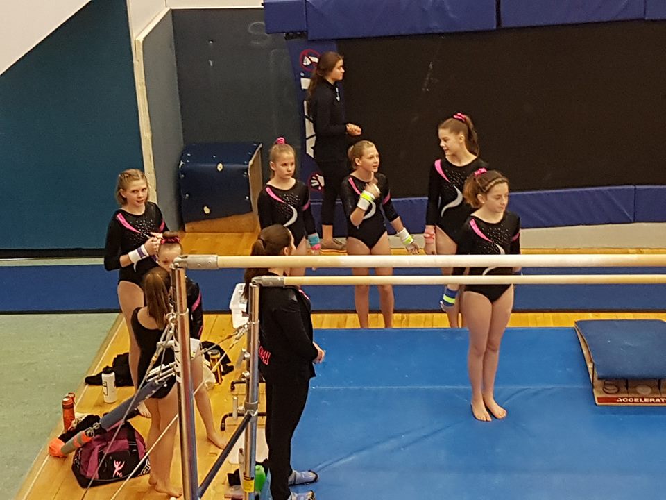 Artistique Gymnastics Club and Playschool | 7102 52 St #17, Lacombe, AB T4L 1Y9, Canada | Phone: (403) 358-8498