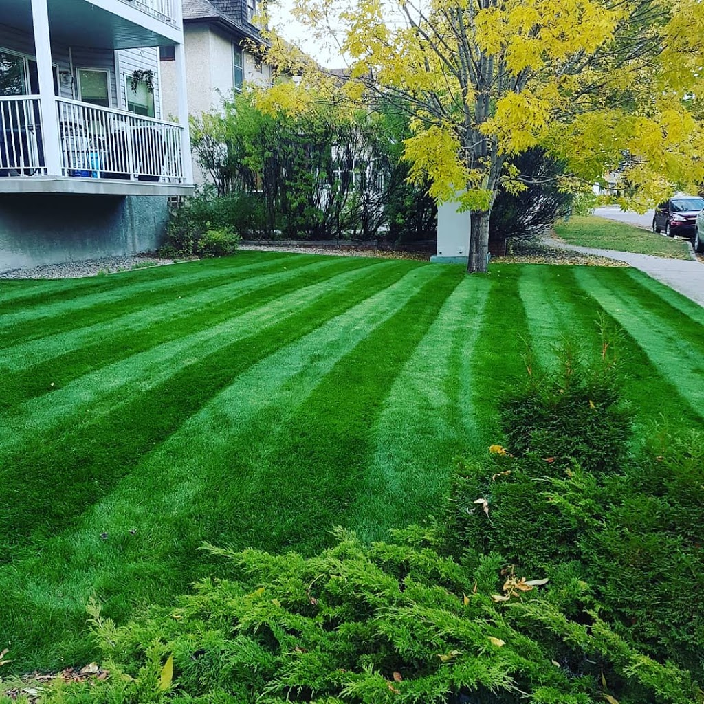 BRILLIANT CLEANERS INC. | 1390 9th Ave NW, Moose Jaw, SK S6H 7B7, Canada | Phone: (306) 313-0030