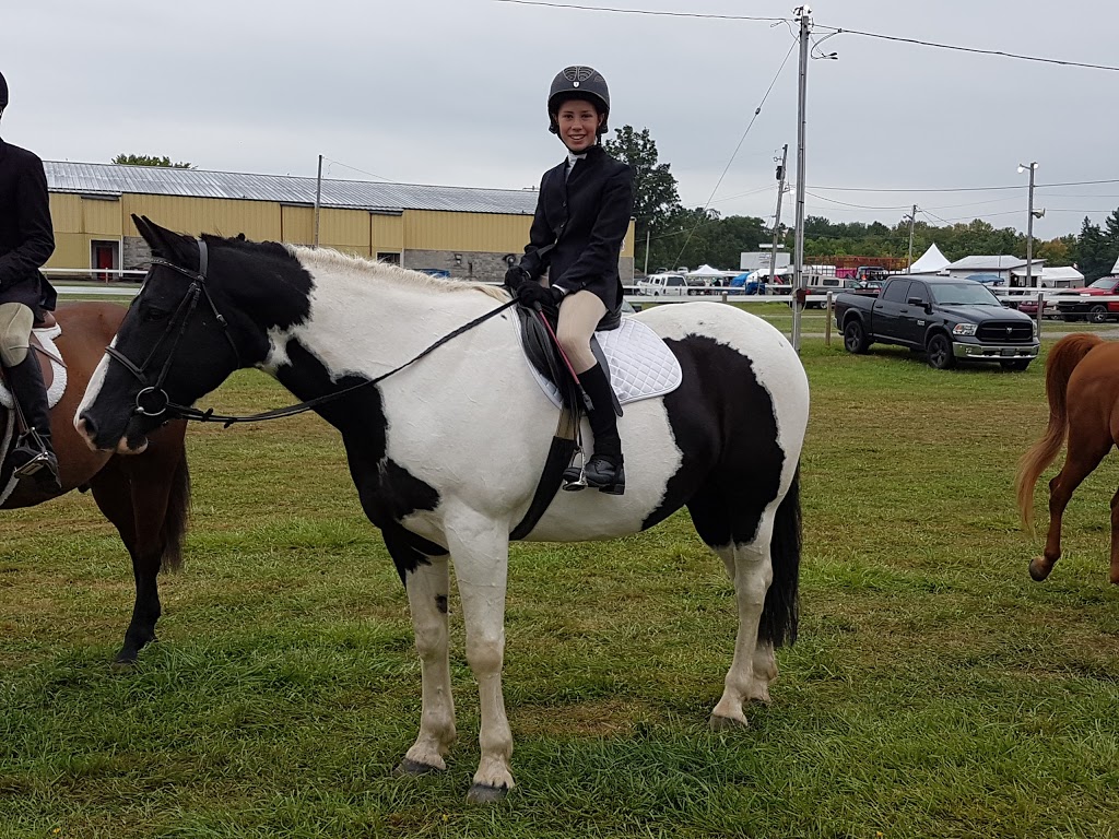 Madoc & District Recreation Centre | 45 Cooper Rd, Madoc, ON K0K 2K0, Canada | Phone: (613) 473-4206