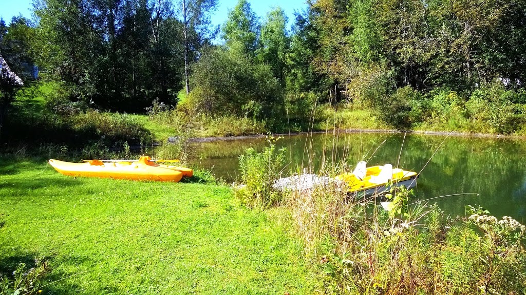 Mésange huppée | 36 Chemin Gosford, Bishopton, QC J0B 1G0, Canada | Phone: (819) 884-1232
