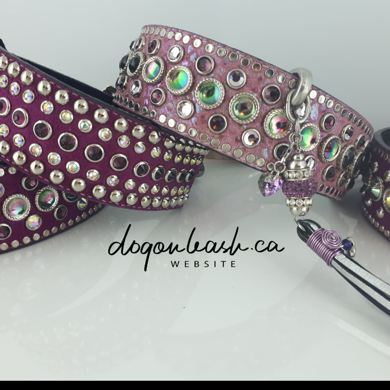 Dog On Leash | 412 Rue du Golf, Saint-Zotique, QC J0P 1Z0, Canada | Phone: (450) 267-2074