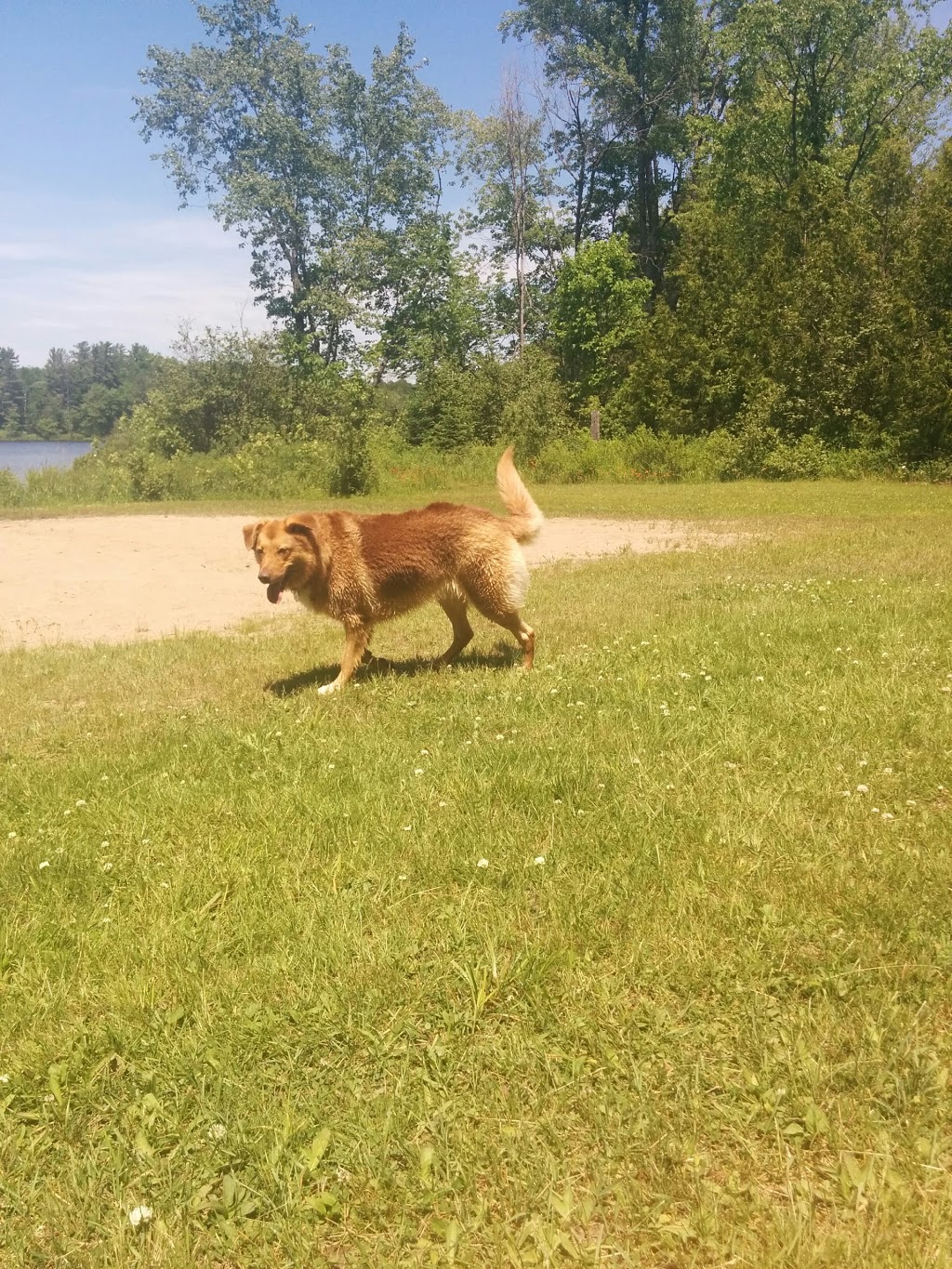 Bass Lake Park | 1015 Loft Rd, Gravenhurst, ON P1P 1R3, Canada | Phone: (705) 687-3412