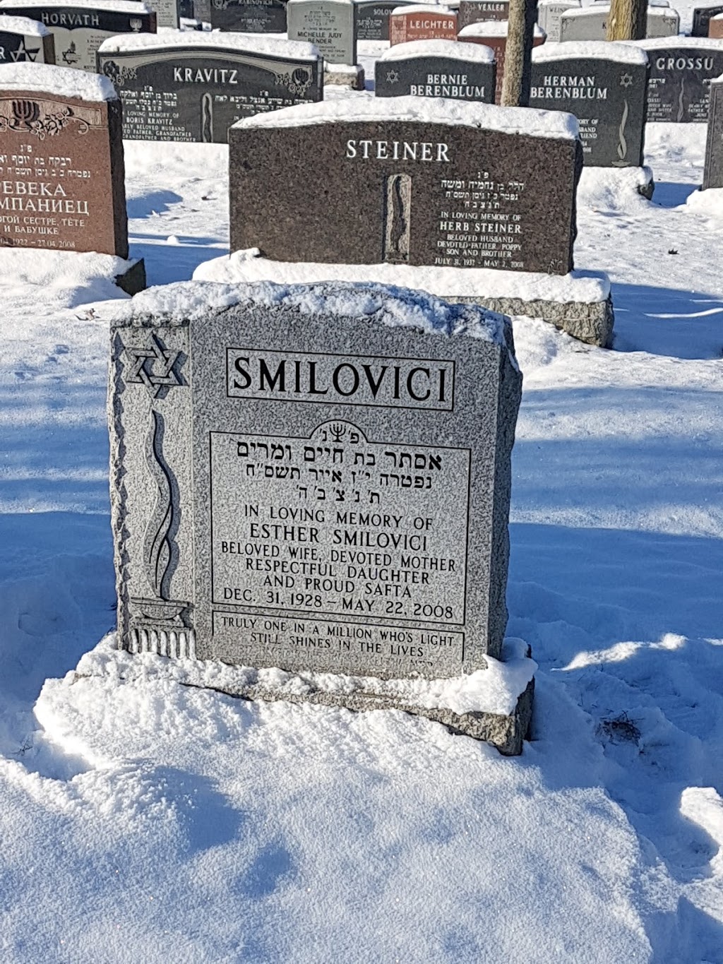 Holy Blossom area, Pardes Shalom | Vaughan, ON L6A, Canada