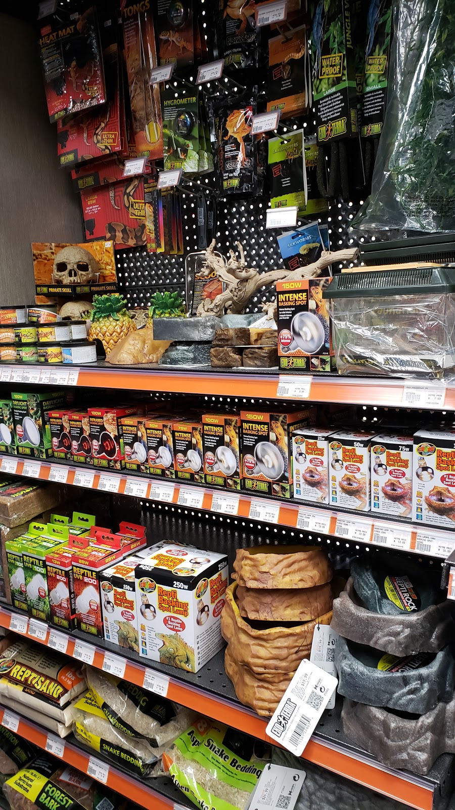 Chico St-Hubert | 6250 Boulevard Cousineau suite 403, Saint-Hubert, QC J3Y 8X9, Canada | Phone: (450) 286-1077