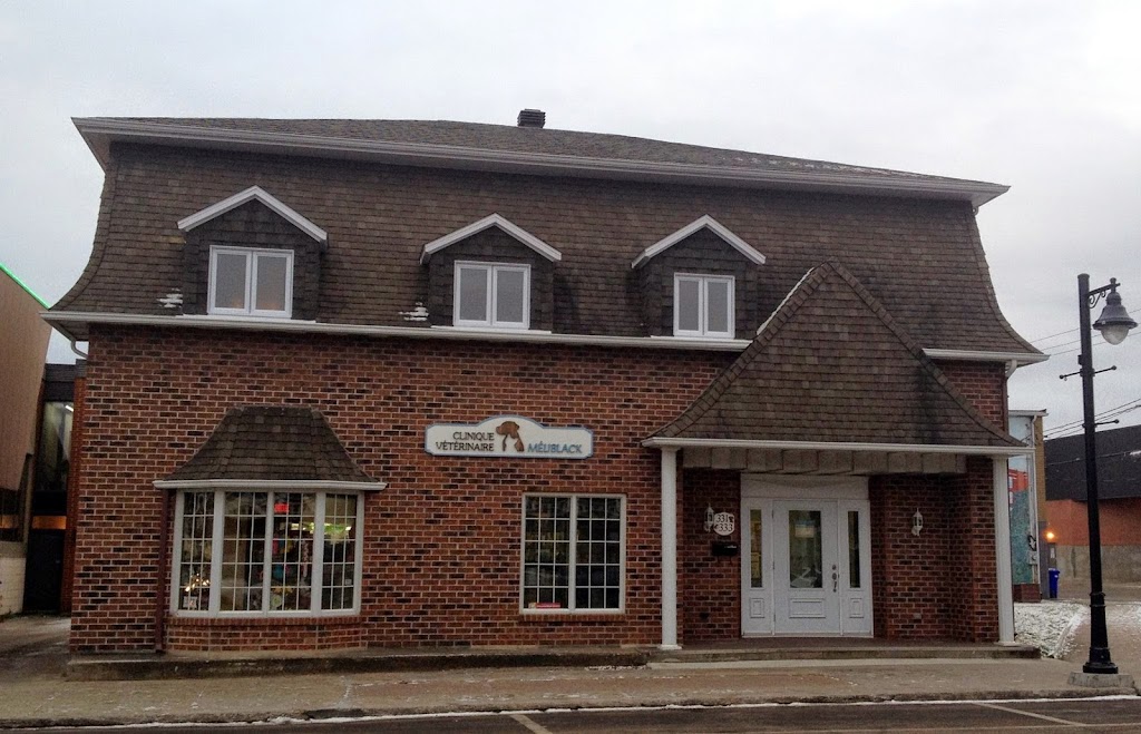 Méliblack Veterinary Clinic | 333 Rue St Joseph, La Tuque, QC G9X 1L3, Canada | Phone: (819) 523-2303