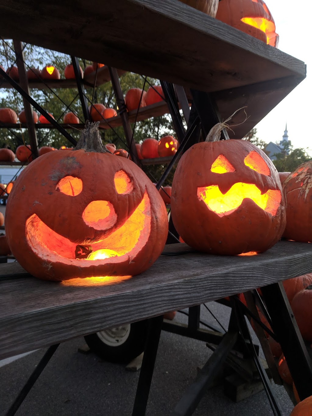 Waterford Pumpkin Festival Inc | 76 Main St S, Waterford, ON N0E 1Y0, Canada | Phone: (519) 443-4944