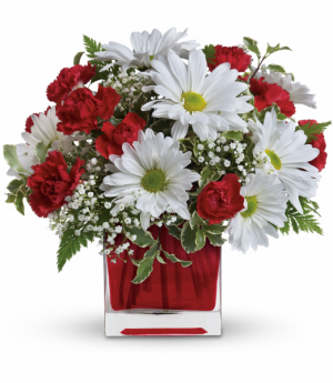 Kings Florist LTD | 1309 Portage Ave, Winnipeg, MB R3G 0V3, Canada | Phone: (204) 772-5060