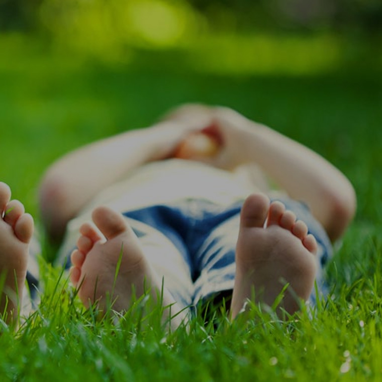 Leuschners Lawn and Landscape | 341 Durham Regional Hwy 47, Goodwood, ON L0C 1A0, Canada | Phone: (905) 709-2221