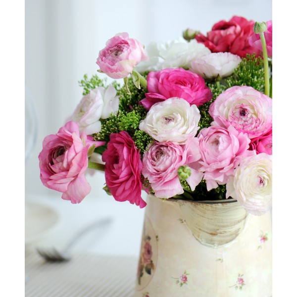 Rothesay Flowers | florist | 12 Andrew Crescent, Rothesay, NB E2S 1A8, Canada | 8777137848 OR +1 877-713-7848