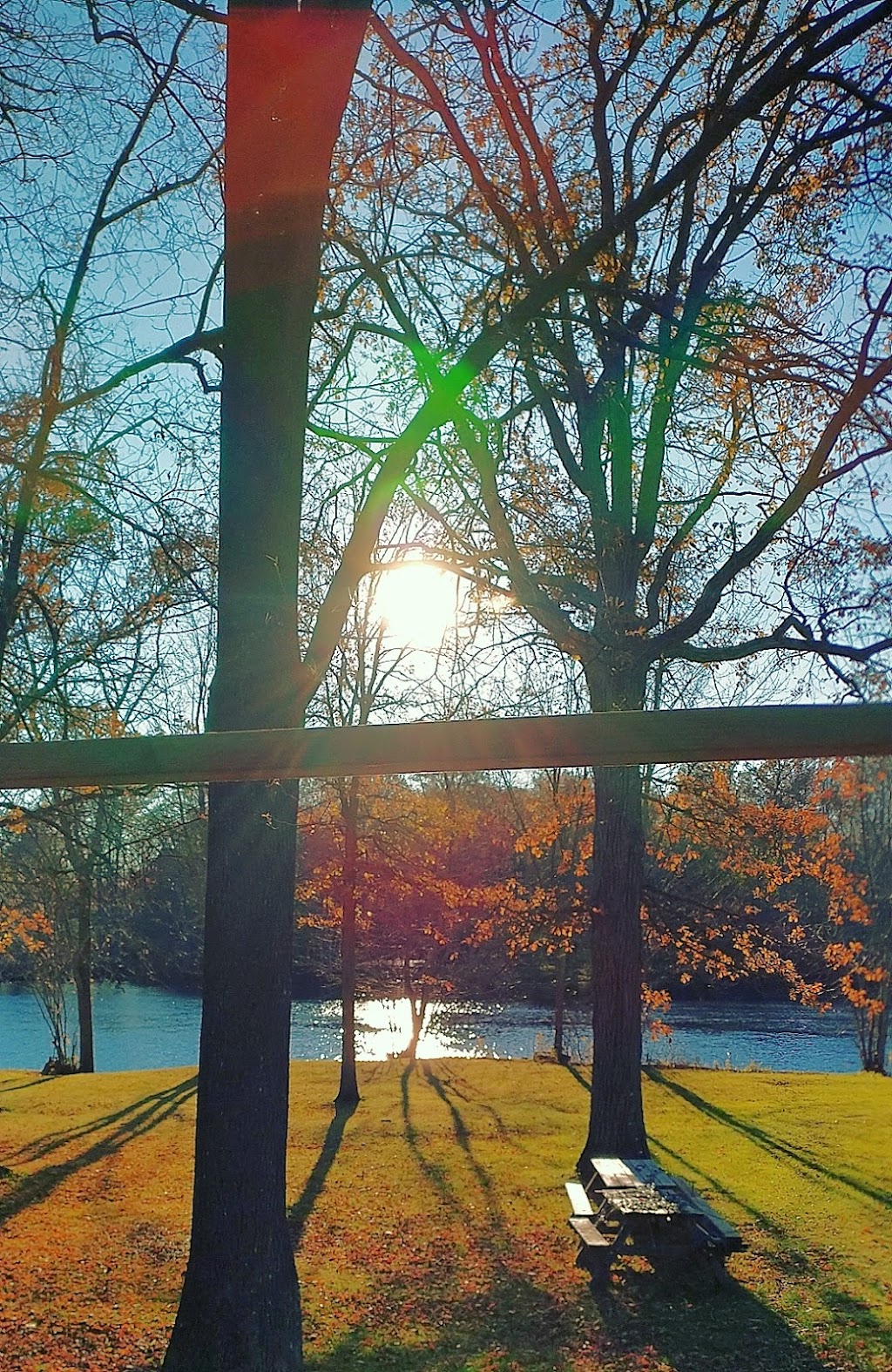 Your River Run Escape | 168 Trillium Ln, Tweed, ON K0K 3J0, Canada | Phone: (289) 240-1103