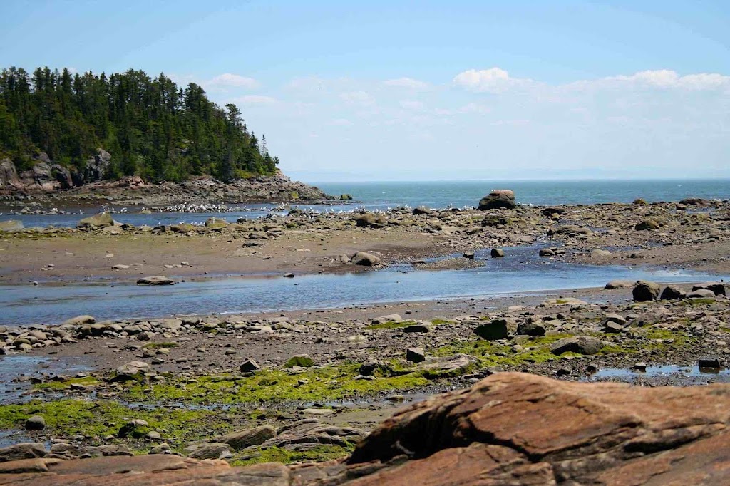 LERE de lEstuaire | 18 Rue Alain Mailloux, La Malbaie, QC G5A 2E7, Canada | Phone: (514) 385-0438