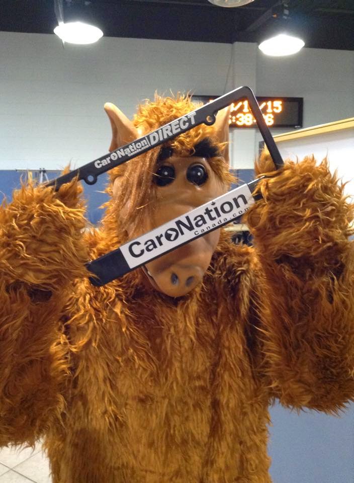 Car Nation Canada Direct | 4315 N Service Rd, Burlington, ON L7L 4X7, Canada | Phone: (905) 332-1741
