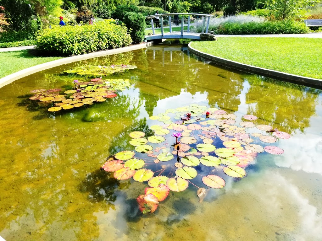 Royal Botanical Gardens - Rock Garden | 1185 York Blvd, Waterdown, ON L0R 2H9, Canada | Phone: (905) 527-1158