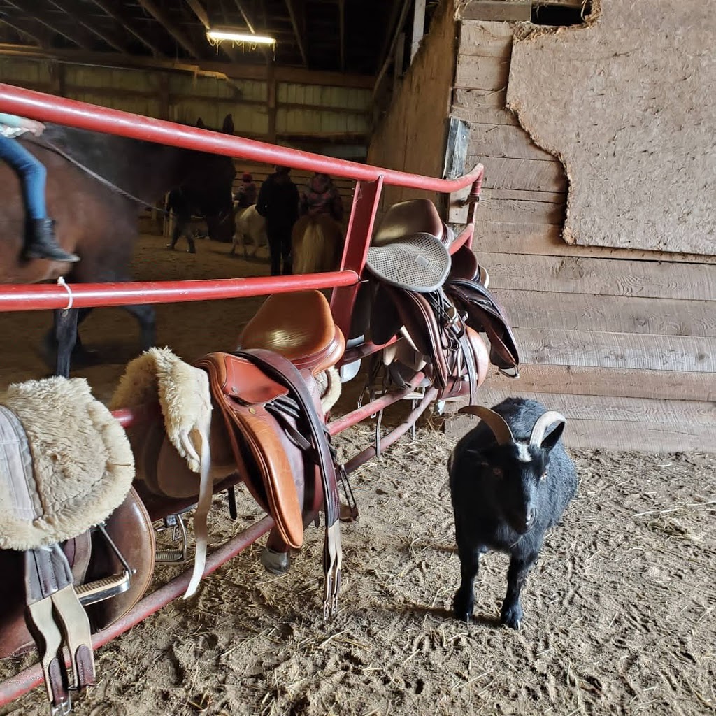 Willowcrest Farm | 6638 Wellington 10, Moorefield, ON N0G 2K0, Canada | Phone: (519) 503-1799