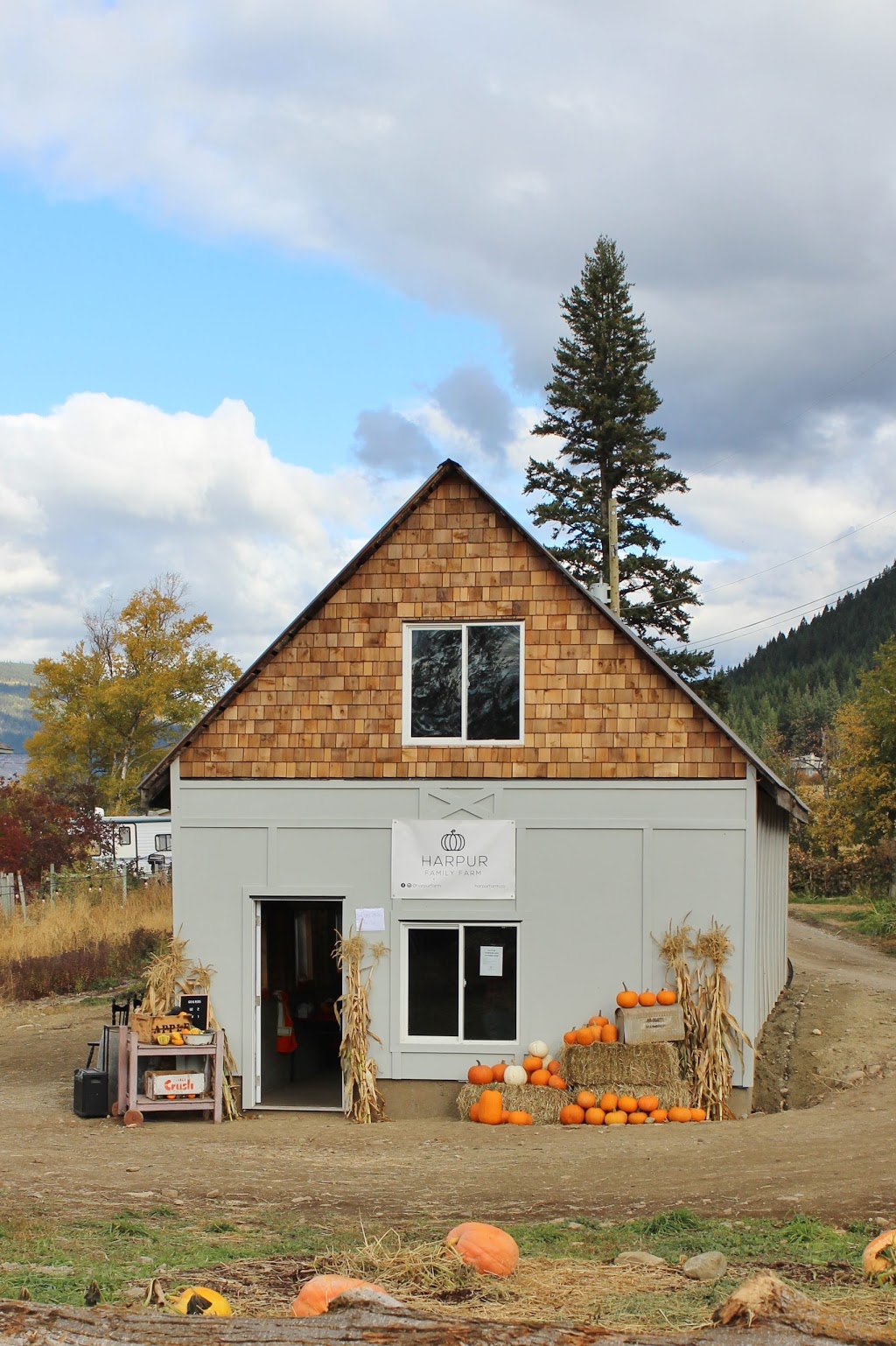Harpur Family Farm Pumpkin Patch | 6491 Okanagan Ave E, Salmon Arm, BC V1E 1Y2, Canada | Phone: (778) 839-7644