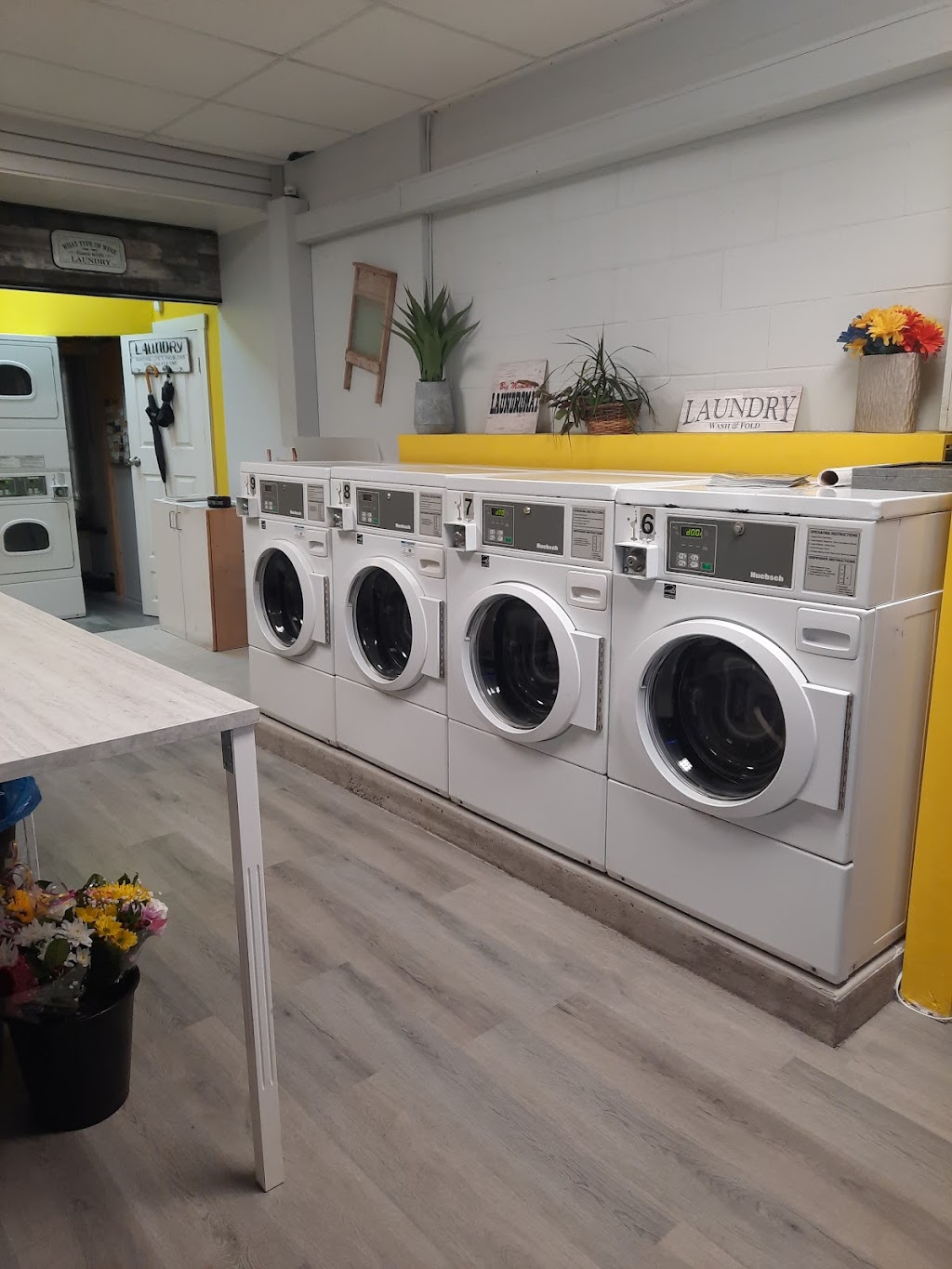 Laundry on the Go | 7254 A Pioneer Ave, Agassiz, BC V0M 1A0, Canada | Phone: (604) 791-6646