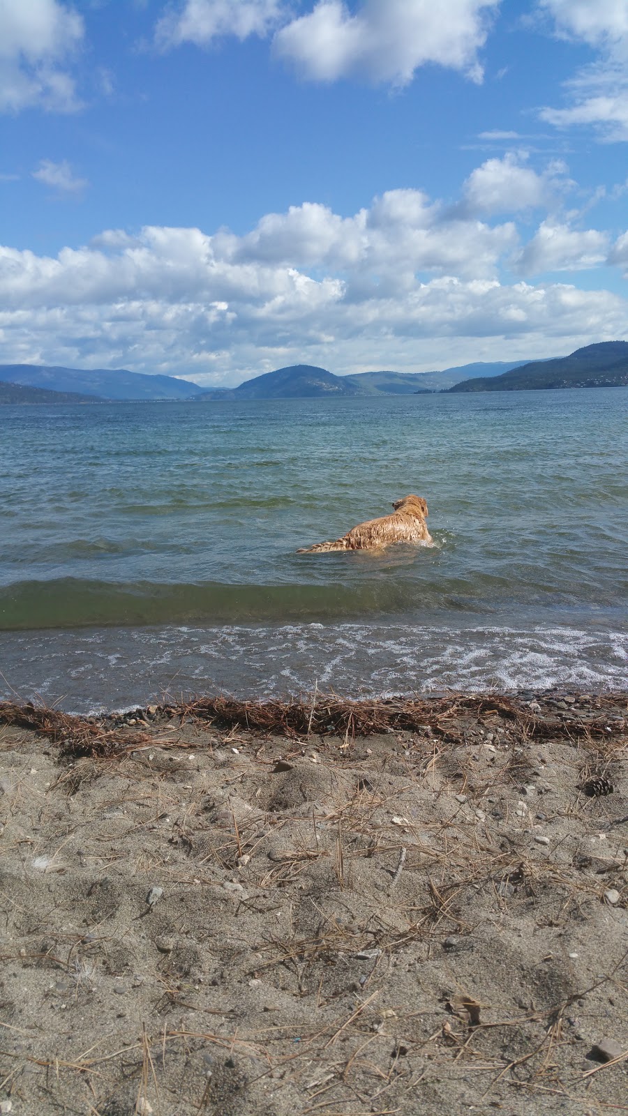 Fintry Provincial Park and Protected Area | Fintry Delta Rd, Vernon, BC, Canada | Phone: (250) 542-4031