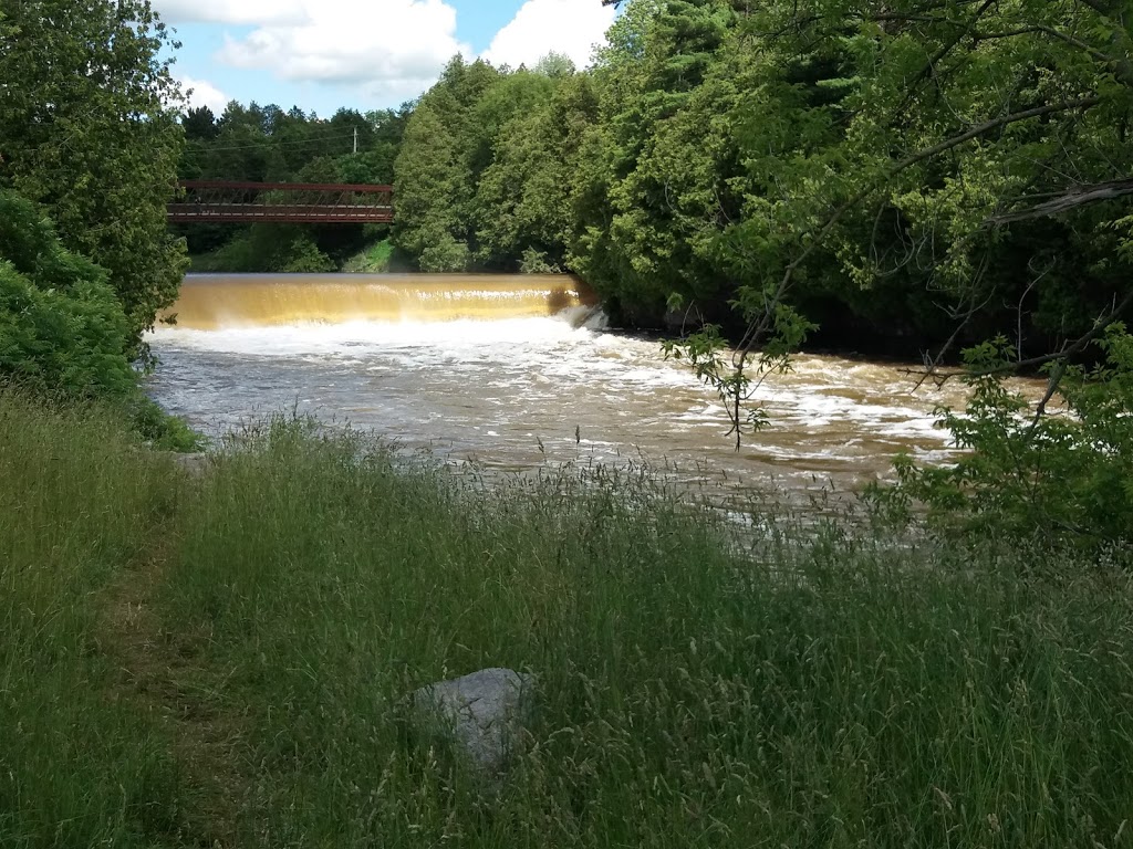 Bissell Park | 127 E Mill St, Centre Wellington, ON N0B 1S0, Canada | Phone: (519) 846-9691