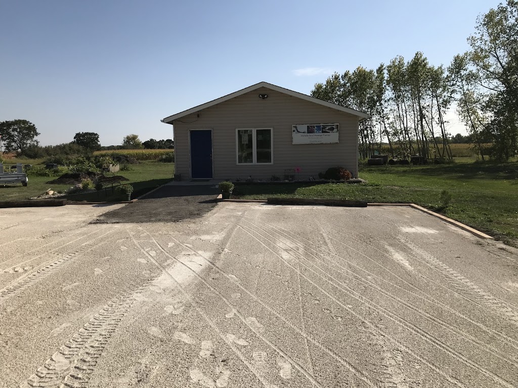 Michelle Sand Massage Therapy | 1 Sand River Drive, Lorette, MB R5K 1G6, Canada | Phone: (204) 878-3638